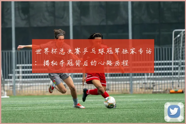 世界杯总决赛乒乓球冠军独家专访:揭秘夺冠背后的心路历程