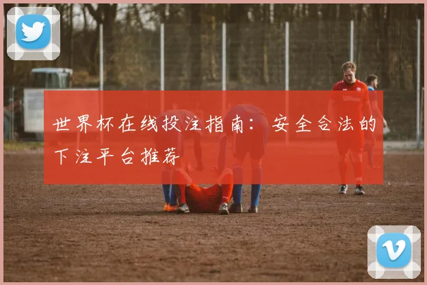 世界杯在线投注指南：安全合法的下注平台推荐